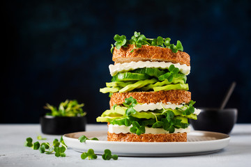 Avocado, cucumber and feta cheese sandwich decorated with micro-greens and multi-grain bread on a...