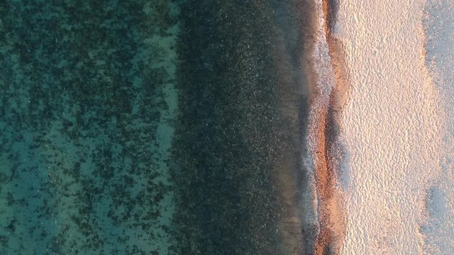 Hallett Cove Conservation Park Adelaide South Australia