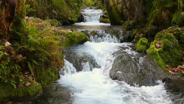 tranquil mountain river stream in forest urach schw&auml;bische alb germany