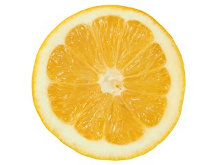 Lemon slice on white