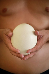 Male hands holding of big ostrich egg on white background, size comparison, close up. Organic fresh egg. Healthy food. Ostrich egg as symbol of birth. Huge white egg shell of african ostrich.