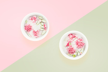 Pink carnation flowers in frosen water cup isolated on pink and neo mint backdrop. Ice natural skin face treatment. Copy space. Minimalistic photo with beauty herbal cosmetic care.