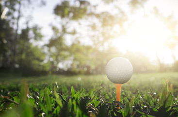 golf ball on tee in a beautiful golf course with morning sunshine
