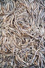 little fresh fish in the market