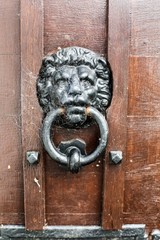 Lion door knocker on brown door