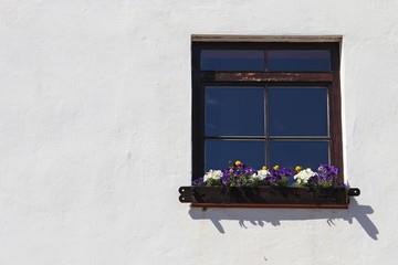 Fototapeta na wymiar Wooden window on the white wall