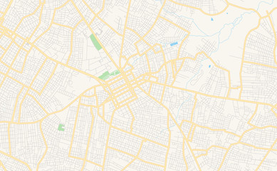 Fototapeta na wymiar Printable street map of San Lorenzo, Paraguay