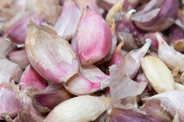 fresh garlic on the market