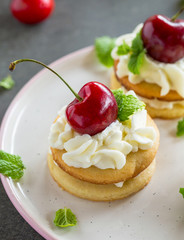 Mini biscuit cake
