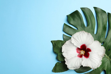 Beautiful tropical hibiscus flower and leaves on light blue background, flat lay. Space for text