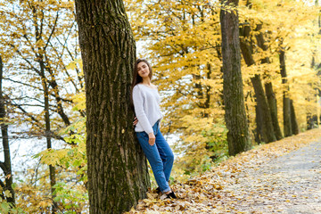 Female portrait. Young woman in casual wear posing in autumn forest with yellow leaves