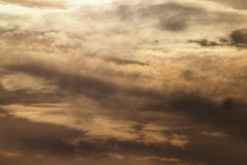 Obraz premium OLYMPUS DIGITAL CAMERA