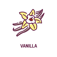 Vanilla pods and flower with caption color line icon. Spices, seasoning. Cooking ingredient. Pictogram for web page
