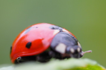 OLYMPUS DIGITAL CAMERA © Magorzata