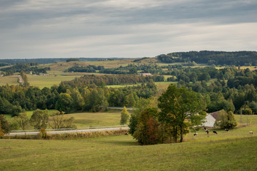 Fototapeta na wymiar Autumn view of the meadows and forests on Suwalszczyzna near Wizajny, Podlaskie, Poland