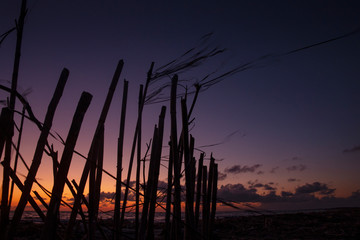 Castel Volturno. Sunset at the coast. Sea.. Campania Italy. Coast. Mediterranean