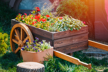 wooden cart full of colorful flowers in garden