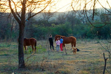 horse and children
