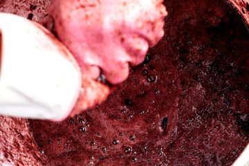 Farmer man makes wine from grapes. Naturally handmade wine.