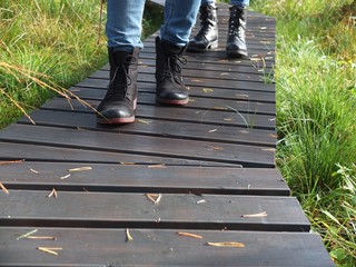 Wooden Walkway.  Wood plank path through green autumn  forest
