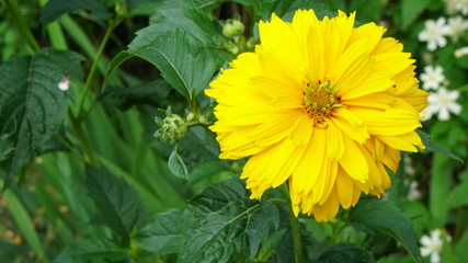 przuroda © Magorzata