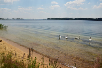 Zbiornik wodny Pogoria IV