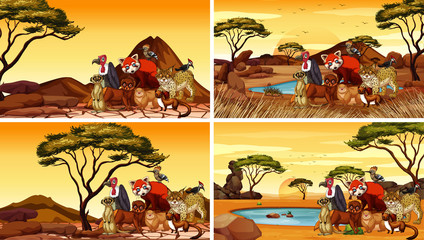 Four scene with many animals in desert