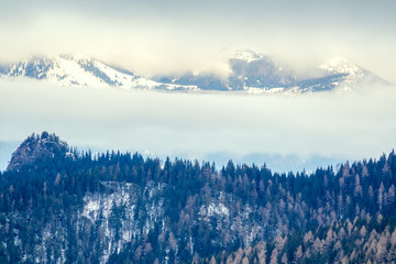 Winter Fog and Clouds in the Wooded Mountains
