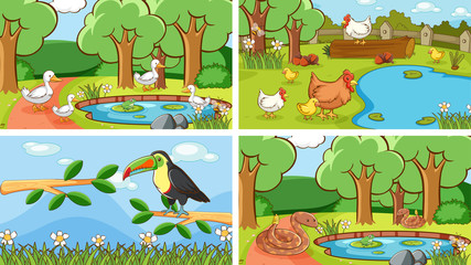 Background scenes of animals in the wild