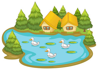 Houses with ducks on white background