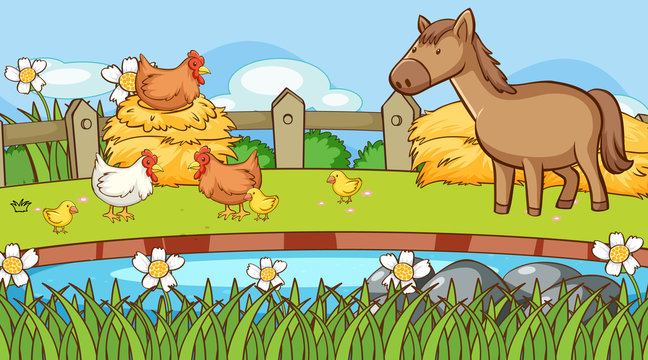 Scene with chicken and horse on the farm