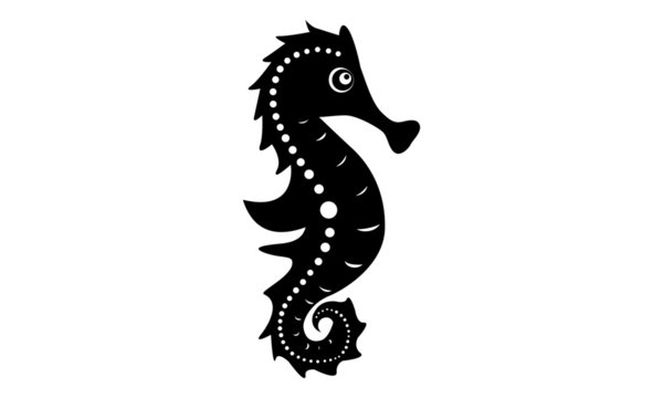 Seahorse /Hippocampus/Marine Life