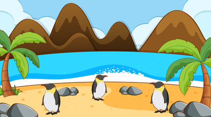 Fototapeta na wymiar Scene with penguins on the beach