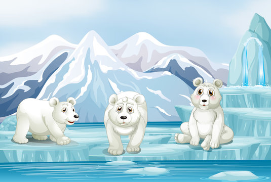 Scene with three polar bears on ice