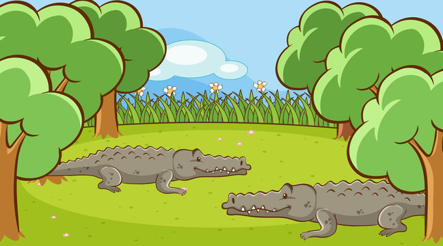 Scene with crocodiles in the garden