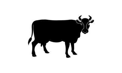 Cow Illustration for web and mobile