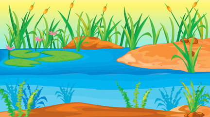 Fototapeta na wymiar Background scene with water lily in the pond