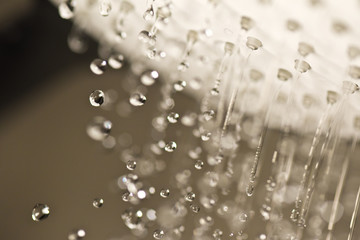 eau douche environnement goutte pluie