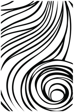 Black and white spiral . Hand drawn swirl, twirl motion, astract snail, flow. © Oleksandra