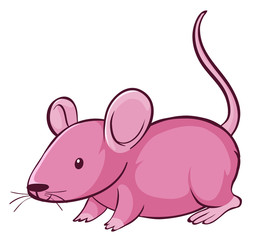 Pink rat on white background