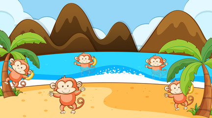 Scene with  monkey playing on the beach