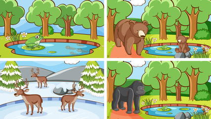 Background scenes of animals in the wild