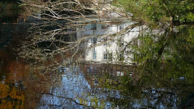 House and Discolored golden autumn leaves as water reflection