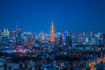 Vue nocturne du paysage urbain de Tokyo sur Tokyo
