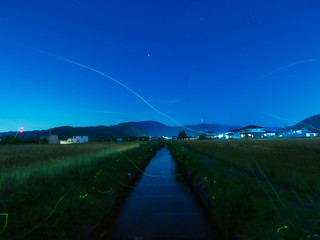 近江長岡 ほたる