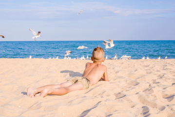 child looks at birds on the beach