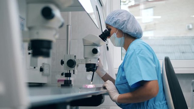 Female laboratory specialist is working in the laboratory with a microscope