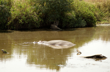 Ngorongoro y Tarangire