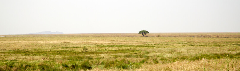 Ngorongoro y Tarangire