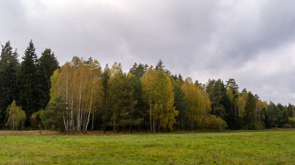 Puszcza Knyszyńska, Królowy Most, Rzeka Ploska © podlaski49